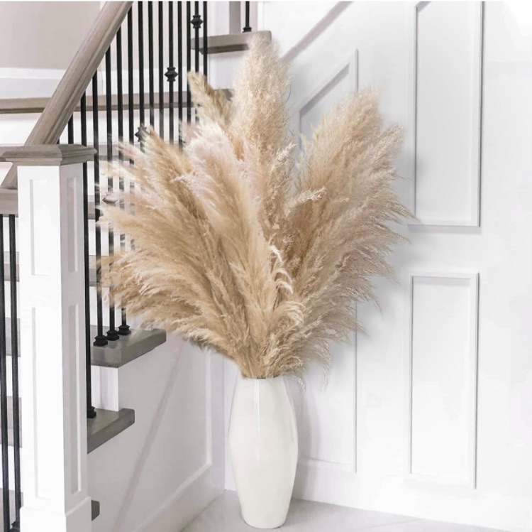 Photo 1 of 10pcs 40'' inch Pampas Grass for Floor Vase - Tall Pampas Grass Tall - Dried Pampas Grass Decor - Natural Beige Dried Pampas Grass Decor Tall - Pompas Floral Grass - Boho Decor - Dried Flower for Vase