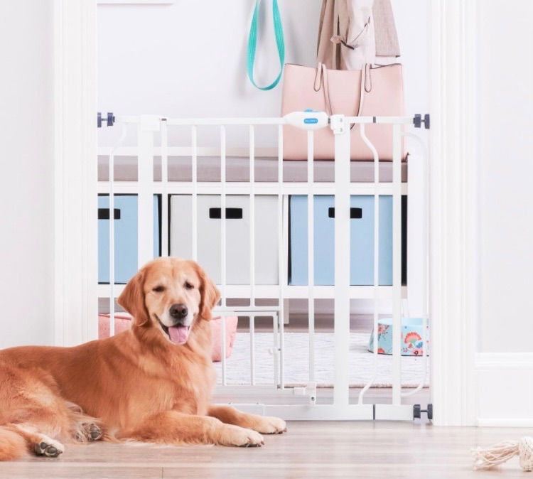 Photo 1 of Carlson Extra Wide Walk Through Pet Gate with Small Pet Door, Includes 4-Inch Extension Kit, Pressure Mount Kit and Wall Mount Kit,White