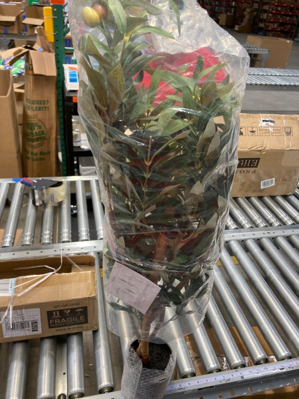 Photo 1 of OAKRED Artificial Olive Tree 5ft, Thick Faux Olive Tree for Indoor with Natural Wood Trunk and Lifelike Fruits, Silk Tall Fake Olive Tree for Home Decor Office Living Room, 1Pcs 1 5 FT