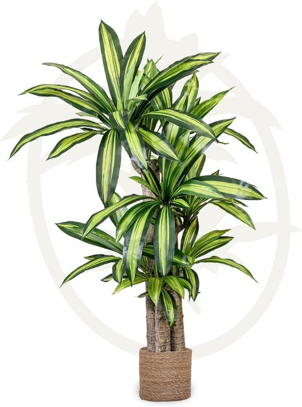 Photo 2 of Maia Shop Dracaena Artificial Plant 5FT Tall, Fake Plant with Realistic Leaves, Dragon Tree, Faux Silk Plant made with The Best Materials, Artificial Plants Indoor, Home Decor Plants, 60 inches