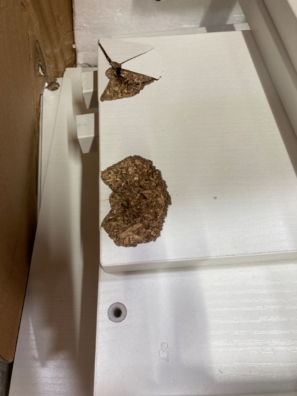 Photo 1 of YITAHOME L Shaped Desk with File Drawer & 3 Cubbies Storage Shelves, 67" Corner Computer Desk with LED Lights & Power Outlets, L-Shaped Office Desk with Monitor Stand, White