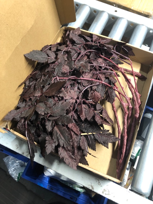 Photo 1 of ***MISSING PIECE/ SEE NOTES***
Lyrow 6 Pack Artificial Cimicifuga Plant Leaf Spray Faux Plum Cimicifuga Ramosa Leaf Branch Faux Fall Spray Faux Silk Plants for Home Vase Wedding Garden Farmhouse Table Mantel Decor (18 Inches)