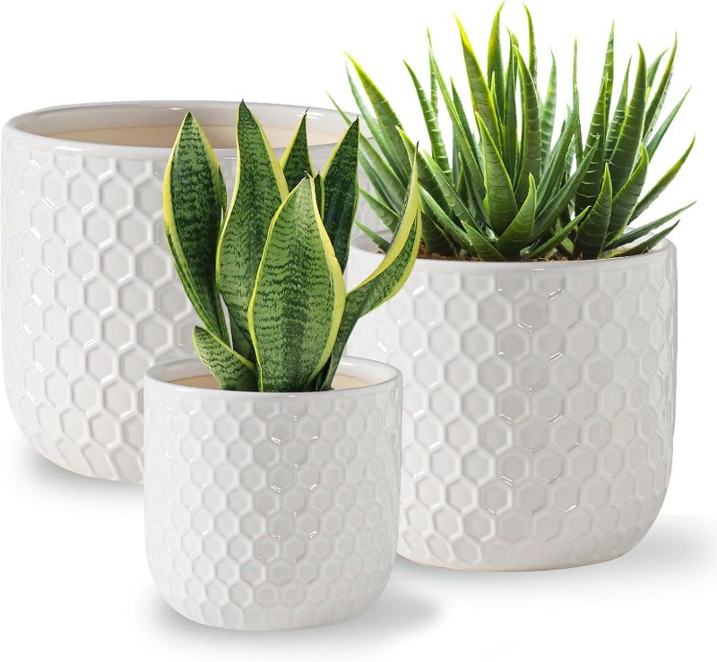 Photo 1 of ***MINOR DAMAGE SEE NOTES***
Docrin Ceramic Plant Pots Indoor: 6.5+5.3+4 Inch Planters with Drainage Holes for Home/Office - Set of 3 / White Honeycomb
