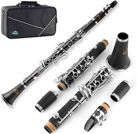 Photo 1 of 
Roll over image to zoom in
EASTROCK Bb Clarinet 17 Keys ABS Material Wide Range of Tones Particularly Beginner & Students-friendly with Using Tools and 2 Replaceable Barrels