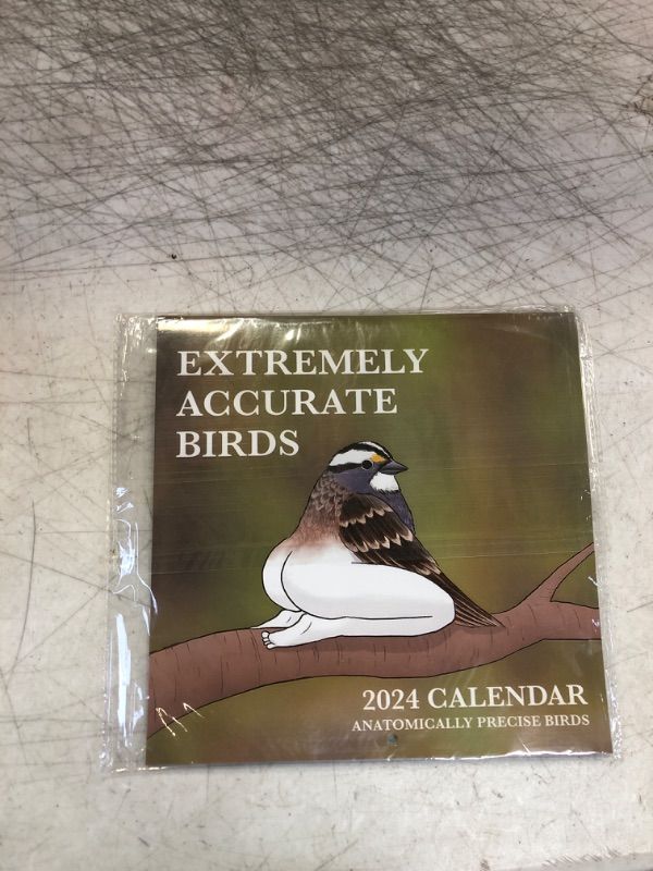 Photo 2 of 2024 Extremely Accurate Bird With Leg Wall Calendar New Year Gift Creative
