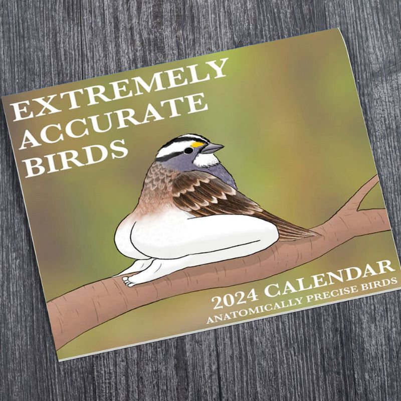 Photo 1 of 2024 Extremely Accurate Bird With Leg Wall Calendar New Year Gift Creative
