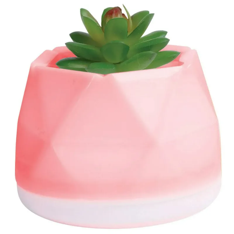 Photo 1 of Decorative Essential Oil Diffuser Small - Color Changing Succulent Diffuser - Essential Oil Diffusers for Home - USB Powered Essential Oil Diffuser for Home - A Must Have for Any Home and Office
