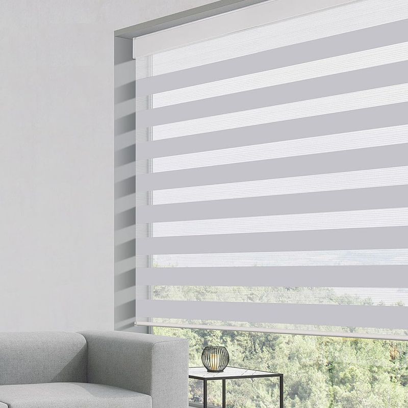 Photo 1 of Grandekor Zebra Blinds for Windows with Valance Cover, Horizontal Dual Roller Shades Light Filtering Light Control Treatments Privacy Day and Night for Bedroom Living Room, Light Grey, 38" W x 72" H