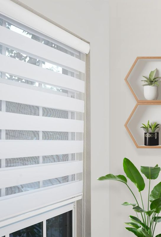 Photo 1 of Pinecrest Home Goods Dual Layer Zebra Light Filtering Roller Shades (White, 35 W x 78 L)
