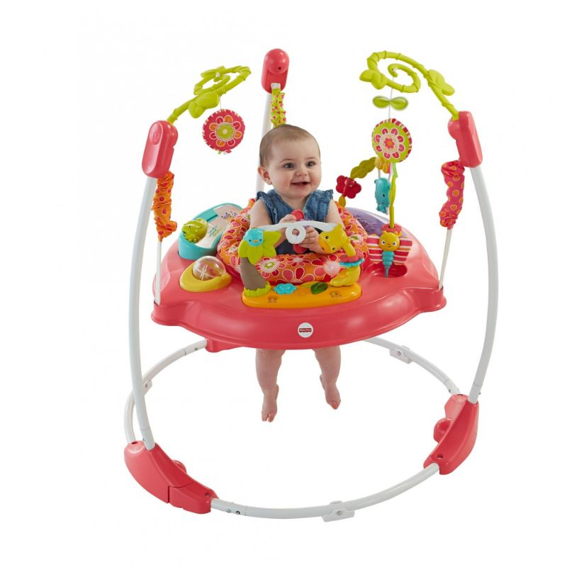 Photo 1 of Fisher-Price Pink Petals Jumperoo with 360 Spinning Seat Lights and Sound
