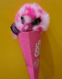 Photo 2 of coco supise cone pink owl