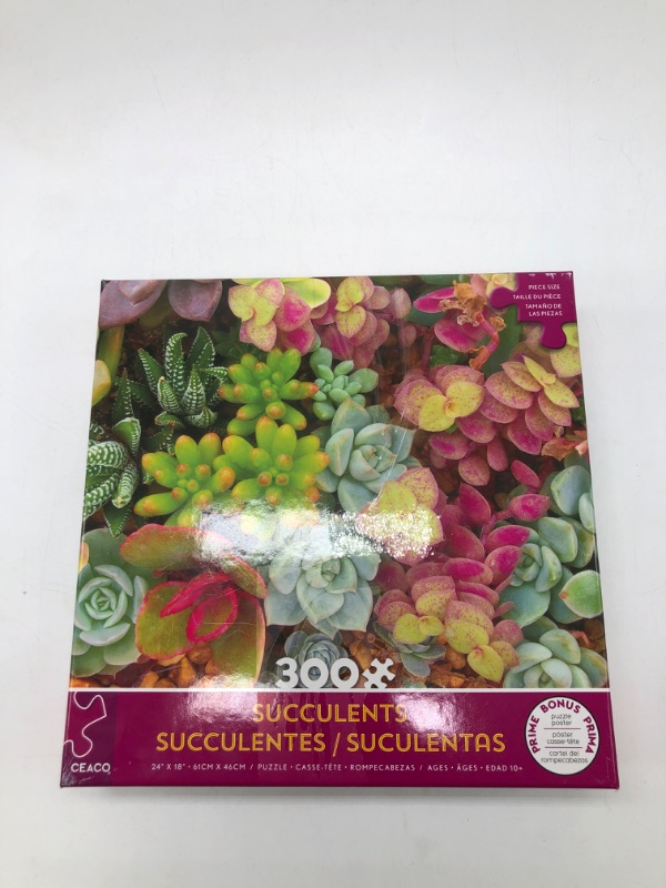 Photo 2 of Ceaco 300pc Bright Succulents - 300 Piece Oversized Jigsaw Puzzle