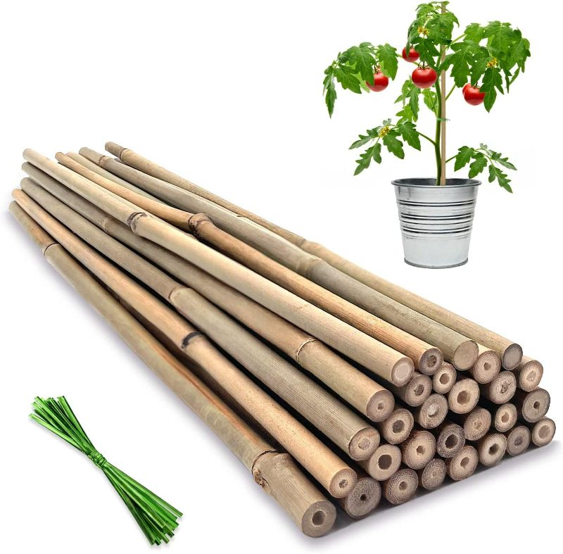 Photo 1 of Plant Stakes,18 Inches Natural Garden Bamboo Sticks, BOVITRO 20Pcs Plant Support Stakes for Tomatoes, Beans, Vegetable and Potted Plants