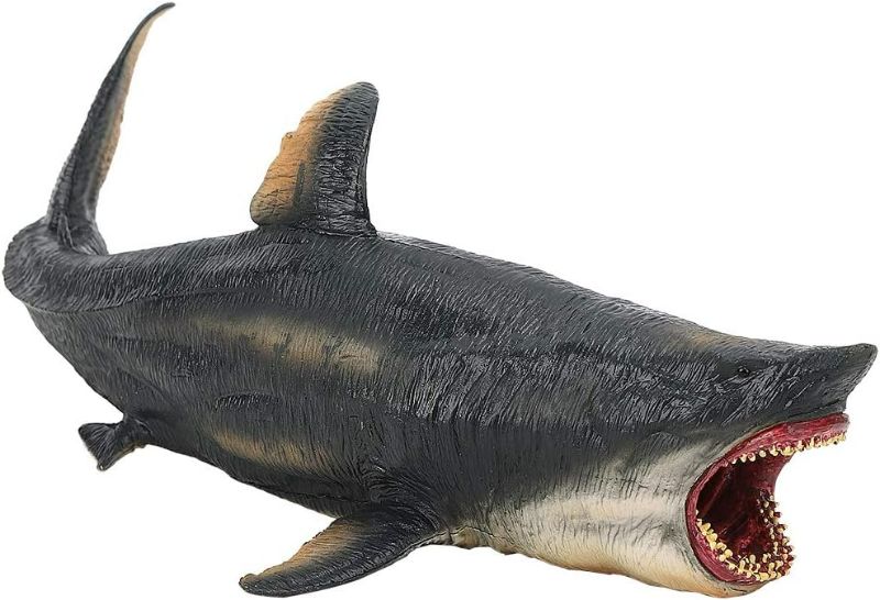 Photo 1 of Sharks Model, Sharks Figure Simulation Marine Ocean Sea Life Toy Animal Rare Model Figure Animals Toy Figures Playsets (New Hollow Megalodon Model)