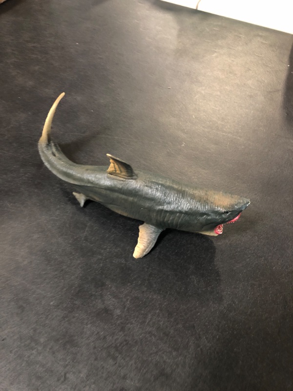 Photo 2 of Sharks Model, Sharks Figure Simulation Marine Ocean Sea Life Toy Animal Rare Model Figure Animals Toy Figures Playsets (New Hollow Megalodon Model)