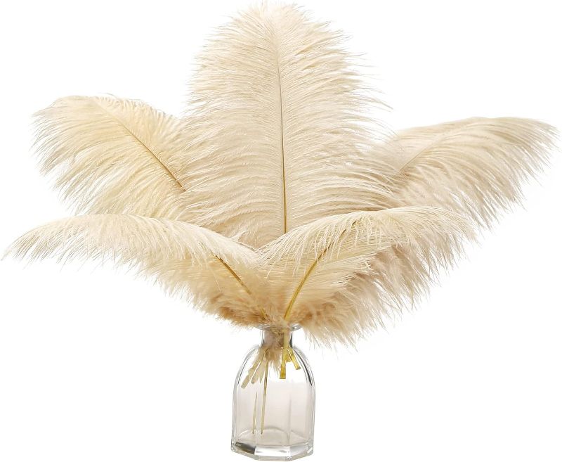 Photo 1 of Ballinger Champagne Ostrich Feathers Bulk - 12Pcs 12-14inch Large Boho Feathers for Vase?Wedding Party Centerpieces Home and Pampas Grass Decor
