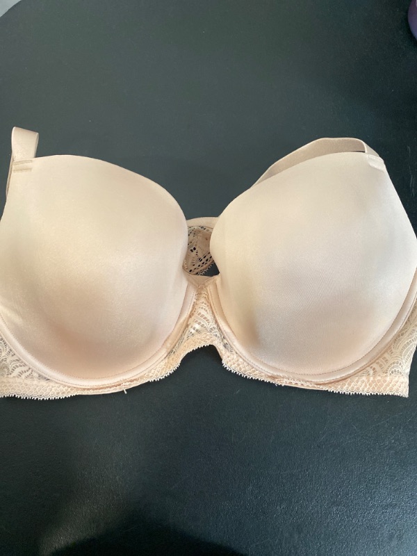 Photo 2 of 40DD Paramour Women's Bras SBY - Sugar Baby Carolina Seamless Lace T-Back Plunge Bra - Plus
 