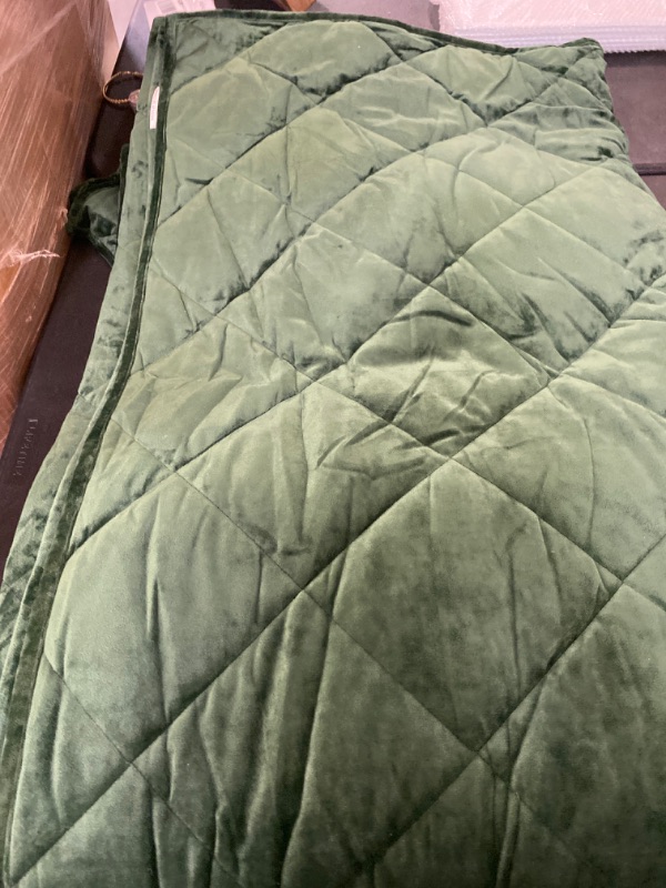Photo 1 of Queen Velvet Forest Green Comforter 