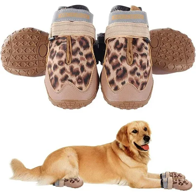 Photo 1 of Dog Shoes 