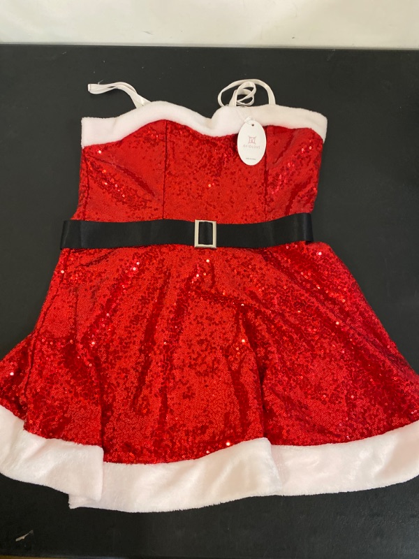 Photo 1 of L Sexy Santa Dress for Women-AvidLove 