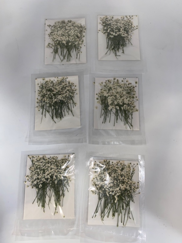 Photo 2 of 42PCS White Natural Dried Flowers Babysbreath with Stem for Resin, Real Pressed Gypsophila Flowers, Dry Flowers for Resin Jewelry DIY Phone Case Crafts Candle Making House Decor
