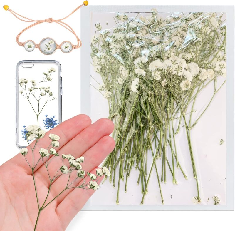 Photo 1 of 42PCS White Natural Dried Flowers Babysbreath with Stem for Resin, Real Pressed Gypsophila Flowers, Dry Flowers for Resin Jewelry DIY Phone Case Crafts Candle Making House Decor
