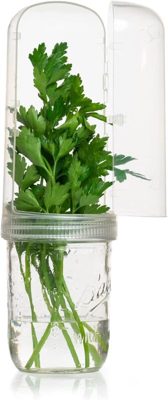 Photo 1 of Clear  Container for Fridge. Fresh Herb Keeper extends storage for herbs and veggies by 2-3X