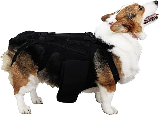 Photo 1 of  Pet Back Support Vest Back Bracer for Dachshunds, Corgis et al Other Dogs IVDD Arthritis, Spinal Surgical Recovery in Dogs?Black Back Brace for Preventing Canine Back Disease  large 