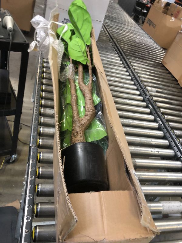 Photo 1 of Artificial Fiddle Leaf Fig Tree - 6ft Artificial Plant Large Fake Fig Leaf Tree with Plastic Nursery Pot - Faux Ficus Lyrata Tree Artificial Fig Trees for Home Office Store Decor Indoor