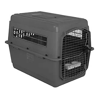 Photo 1 of Petmate Sky Kennel Pet Carrier, 21 Inch