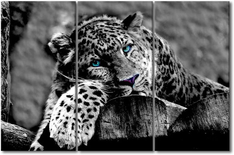 Photo 1 of Black and White Picture for Living Room Jaguar with Blue Eyes Painting Lying on Wood Wall Art Animals Artwork Multi Panel Canvas Prints Home Modern Decor Giclee Framed Ready to Hang, 60"Wx40"H
