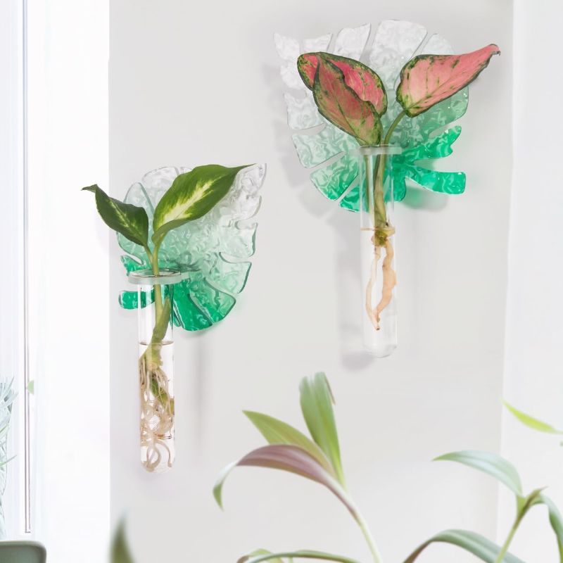 Photo 1 of 2PCS Plant Wall Mount Propagation Station, Leaf-Shape Hanging Terrarium Stand with Glass Tube Indoor, Clear Planter Vase for Houseplant Flower, Office Home Decor Gift for Women
