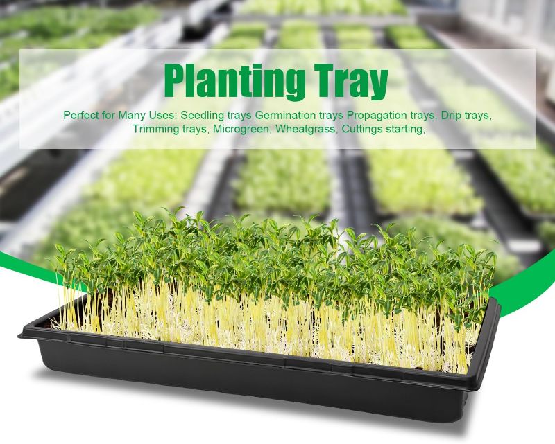 Photo 3 of 1020 Trays Sturdy Farmer Self Seedling Nursery Plant Tray Plastic Seeds Starter Trays 10 Pieces Standard Size 2.35inch Deep Microgreens Growing Tray Without Holes (10-Pack Without Holes)