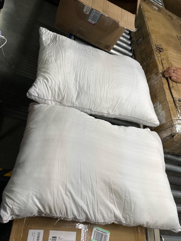 Photo 1 of 2 standard pillows 