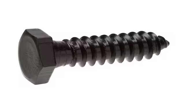 Photo 1 of 1/4 in. x 1 in. Black Exterior Hex Head Lag Screw (25-Pack)
