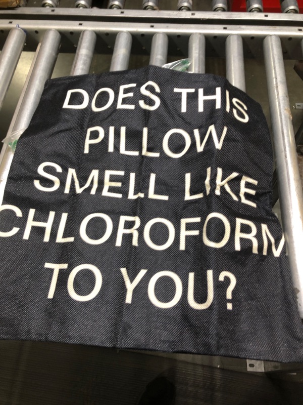 Photo 1 of AOYEGO Does This Pillow Smell Like Chloroform to You Throw Pillow Cover Quote Saying Black Background Pillow Case 18x18 Inch Decorative Men Women Boy Girl Room Cushion Cover for Home Couch Bed Multi-a6