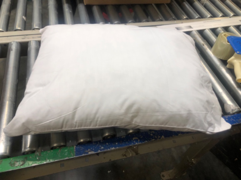 Photo 1 of 
 17x22 Inch Rectangular Throw Pillow Insert Form
