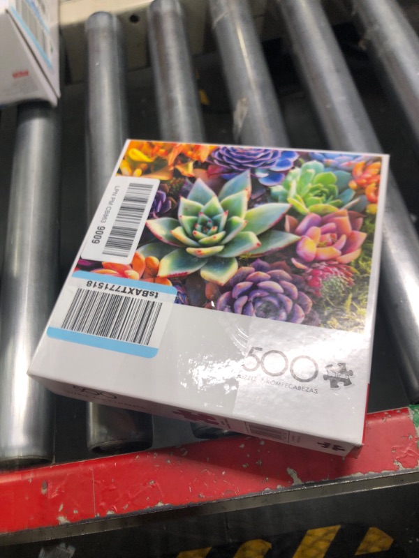 Photo 1 of Buffalo Games - Simple Succulent - 500 Piece Jigsaw Puzzle
