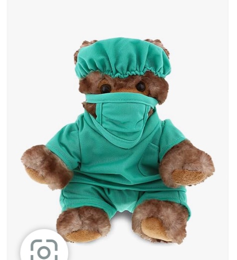 Photo 1 of DolliBu Cute Sitting Grizzly Doctor 