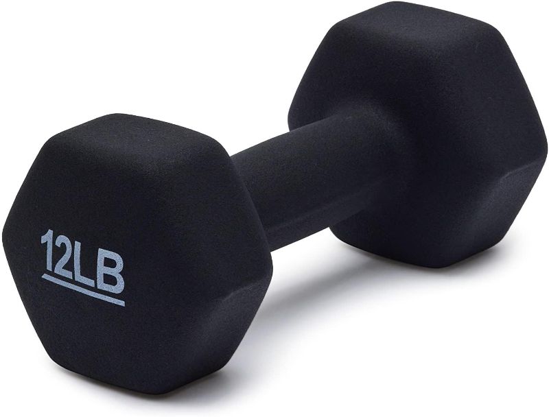 Photo 1 of 

12lb dumbbell 