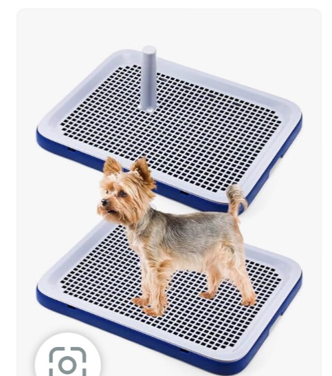 Photo 1 of 
2 Pack Dog Potty Training Tray, Pee 