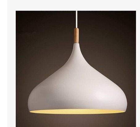 Photo 1 of 
Dent** 60 Watt Modern Elegance Pendant 