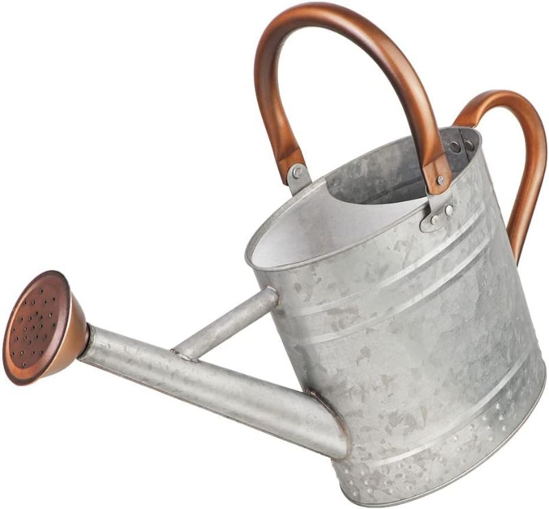 Photo 1 of 1 Gallon Metal Watering Can with Removable Spout, Nice Galvanized Steel Water Can with Embossed Design for Indoor and Outdoor Plants