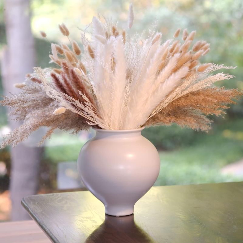 Photo 1 of (169 PCS) Home Decor Dried Flowers Arrangements White & Natural Pampas Grass Reed Bunny Tails for Boho Home Wedding Decoration Flower Arrangements Photo Props