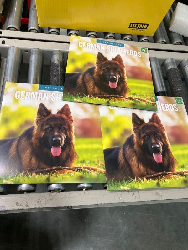 Photo 2 of 2024 German Shepherds Wall Calendar by Red Robin, 12 x 12 ****USED*** 