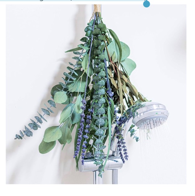 Photo 1 of 4 Kinds Eucalyptus & Lavender Flowers Bundles for Shower |Real Eucalyptus Leaves Home Decor Shower Decor Wedding Decor (1 Pack Set - 17 inch)