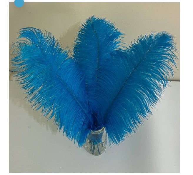 Photo 1 of 10pcs Large Turquoise Ostrich Feathers 16-18 inch Fluffy Feather for Crafts Home Party Decoration Wedding Centerpieces Clothes Vase Decor