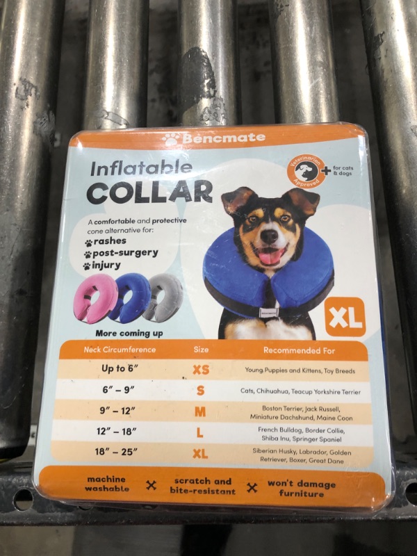 Photo 1 of XL DOG INFLATABLE  COLLAR 