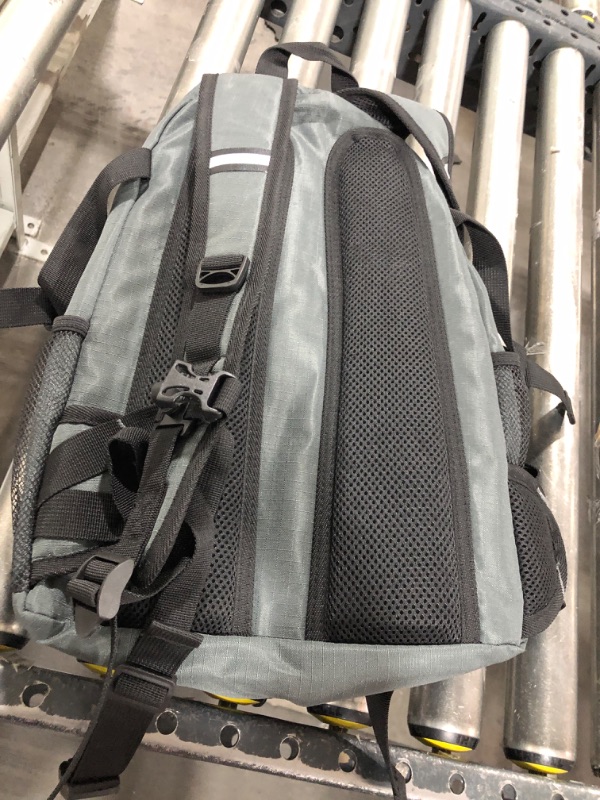 Photo 2 of GRAY TRAVEL BACKPACK 