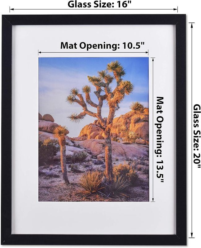 Photo 1 of A PLUS MAX 16x20 Picture Frames for Wall Black Poster Frame 16x20 Matted to 11x14 or 16x20 without Mat, Polystyrene Glass for Wall Hanging Photo Frame, Value Set 16x20 IN